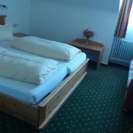 ホテル Landgasthaus Backhof-helmle *