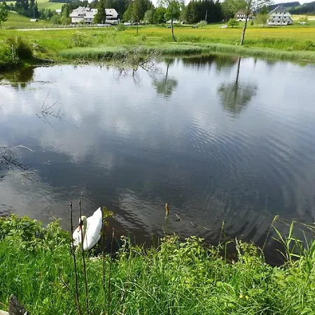 Landgasthaus Backhof-helmle ホテル