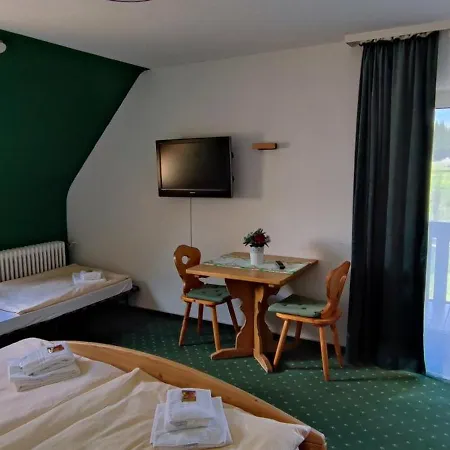 Hotell Landgasthaus Backhof-helmle *